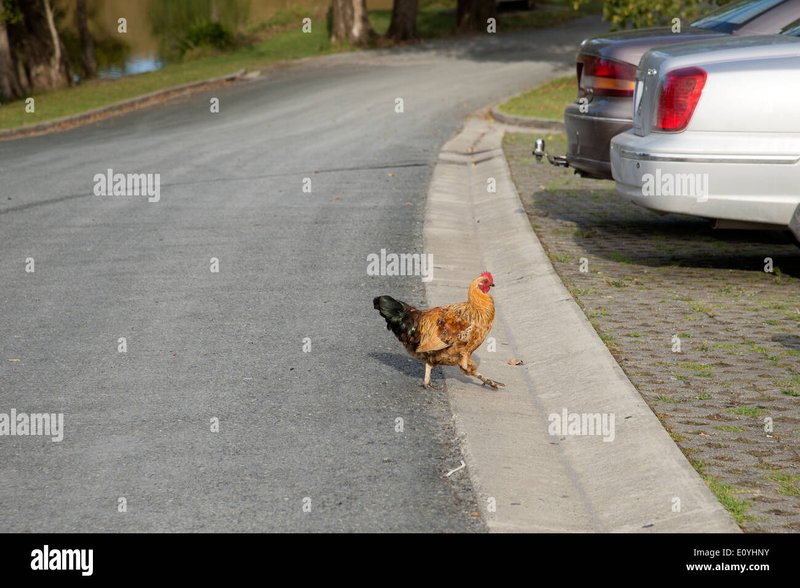 Descubre el Exclusivo Juego de Azar En Línea en Chicken Road España Descubre el Exclusivo Juego de Azar En Línea en Chicken Road España